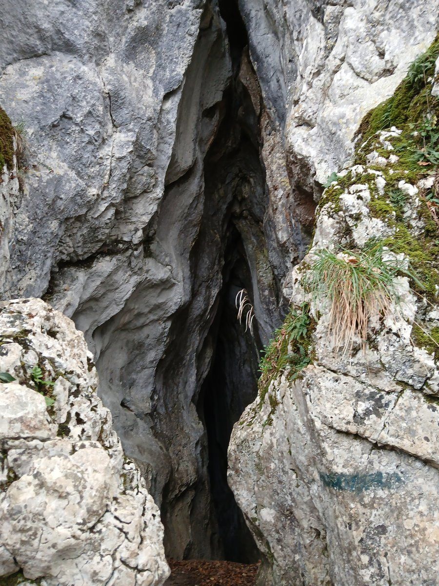 Madgala cave- sainte baume